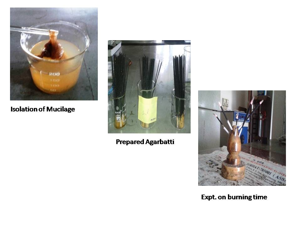 Chemistry and Bio-Prospecting
