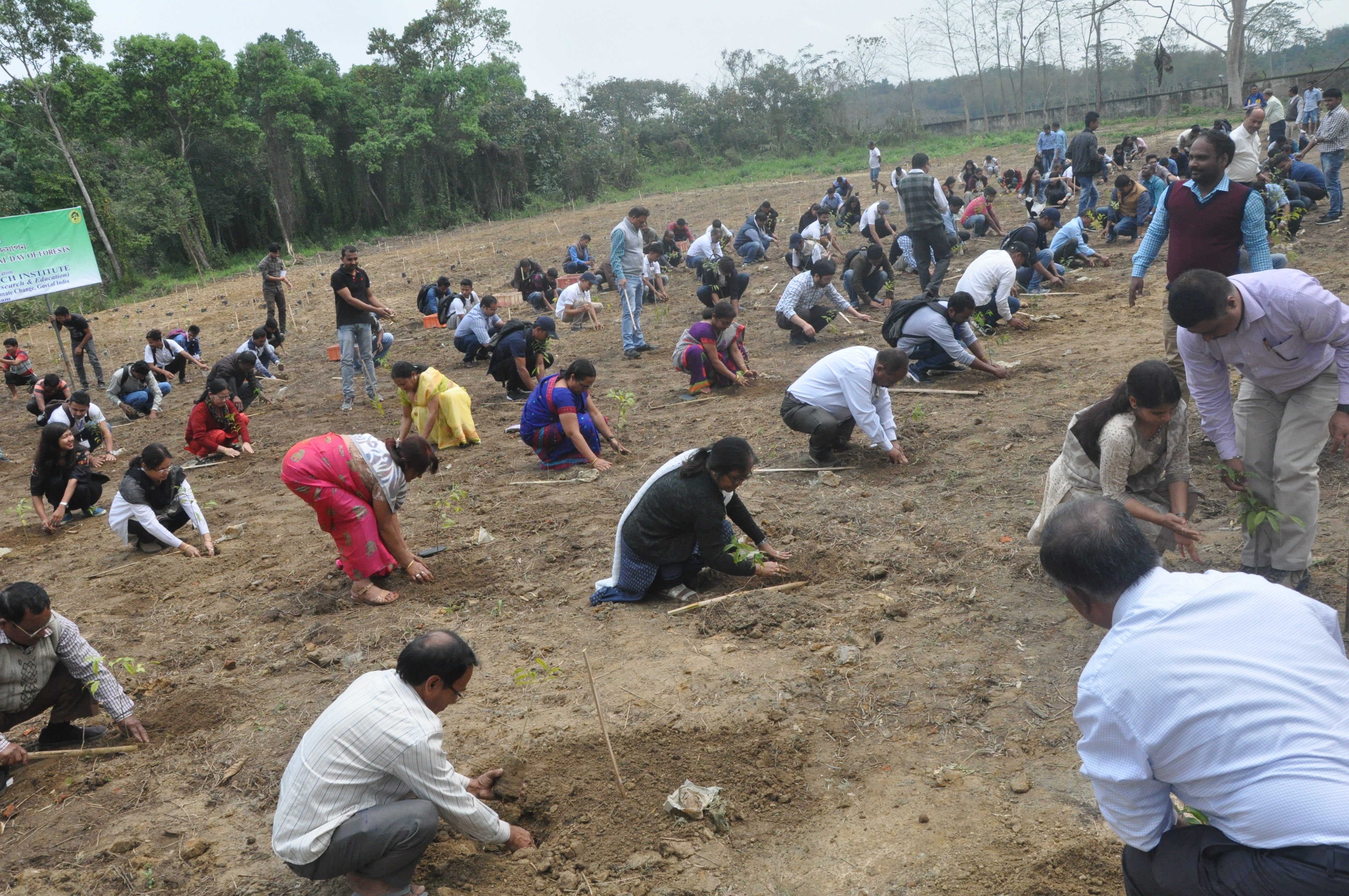 Mass Plantation on the occassion of World Forestry Day