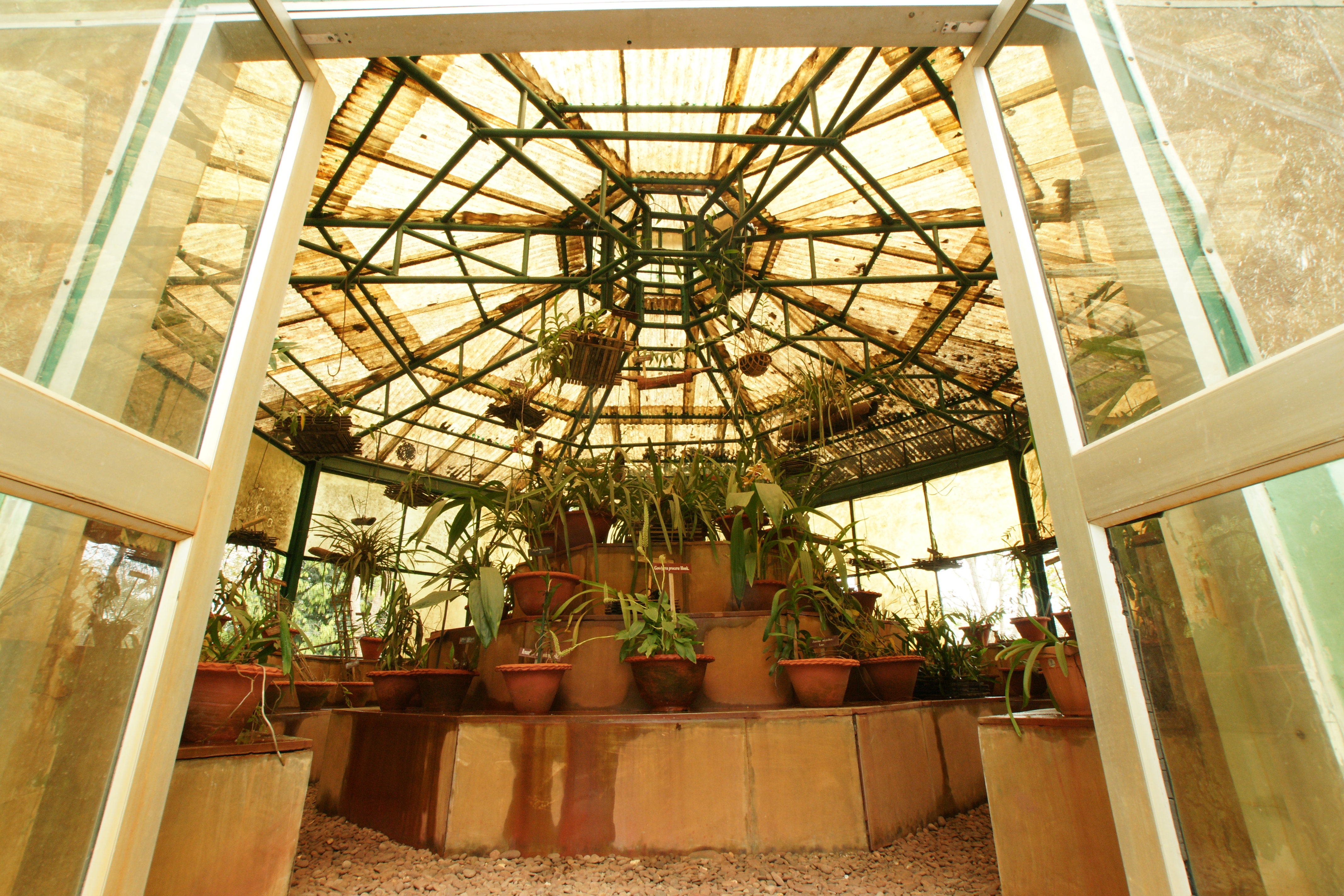 5-Orchidarium (inside) at RFRI Botanical Garden