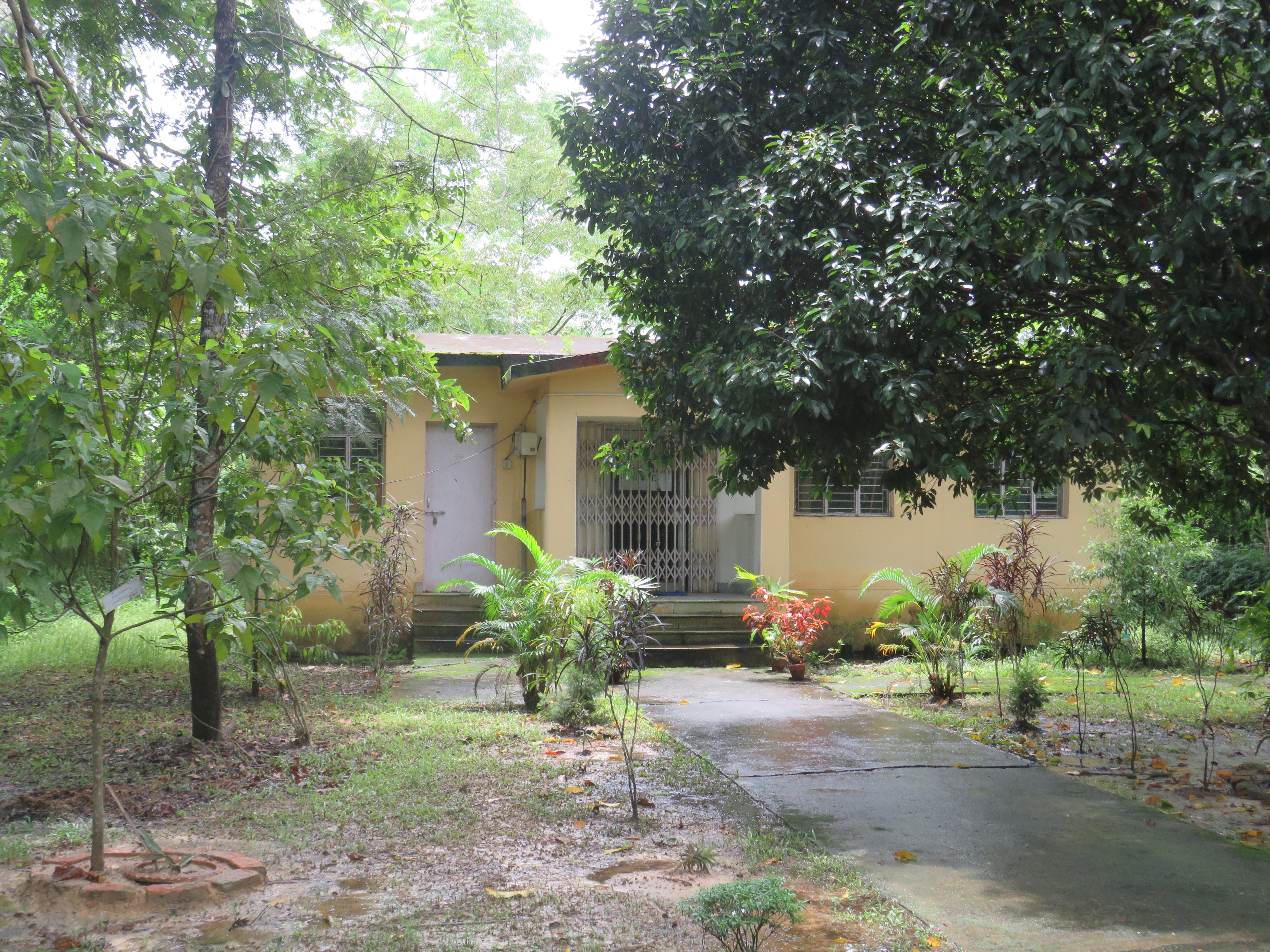 7-Herbarium House at Botanical Garden