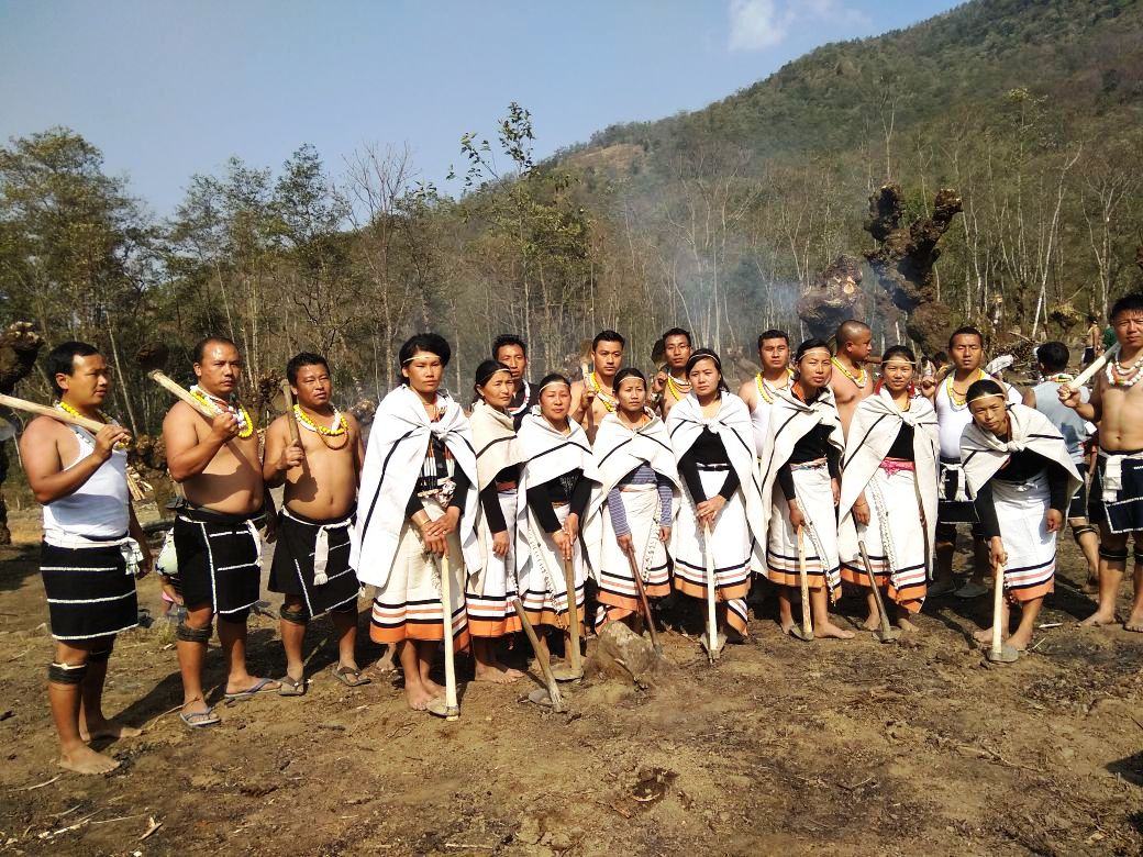 Traditional land preparation for Alder based jhum cultivation in Khonoma